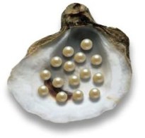 357aaf4c9a3494ed5c4aaedd1ff379b1.250x240x1