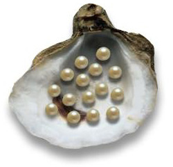 357aaf4c9a3494ed5c4aaedd1ff379b1.250x240x1